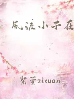 风流小子在异世