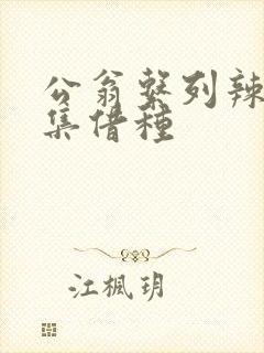 公翁系列辣文全集借种