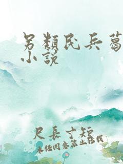 另类民兵葛二蛋小说