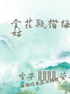 金花瓶楷梅花尼姑