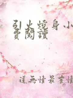 引火烧身小说免费阅读