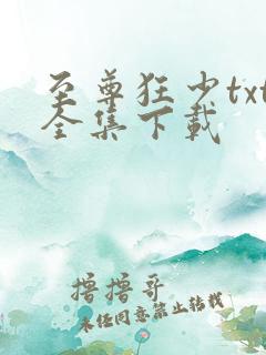 至尊狂少txt全集下载