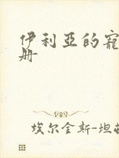 伊利亚的宠物手册