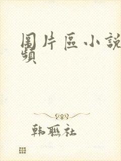 图片区小说区视频