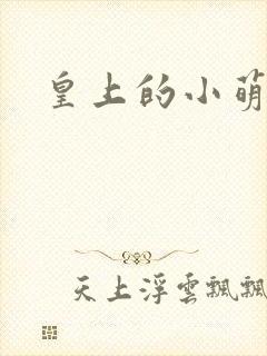 皇上的小萌宠