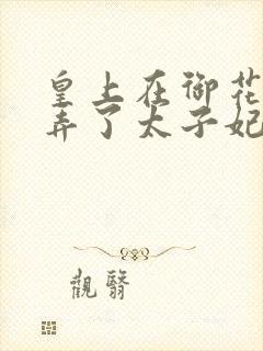 皇上在御花园c弄了太子妃