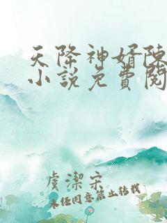 天降神婿陈黄皮小说免费阅读