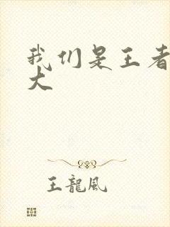 我们是王者立海大