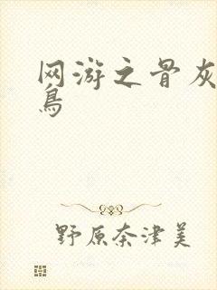 网游之骨灰级菜鸟