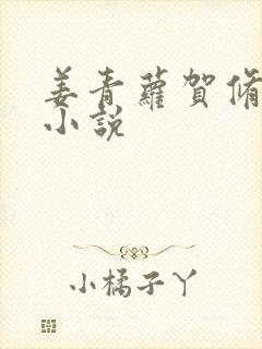 姜青萝贺修竹的小说