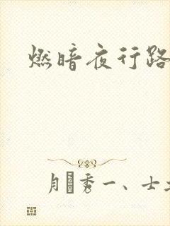 燃暗夜行路