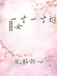 一寸一寸进入小姪女