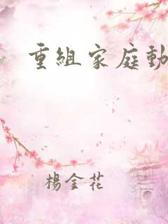 重组家庭动漫