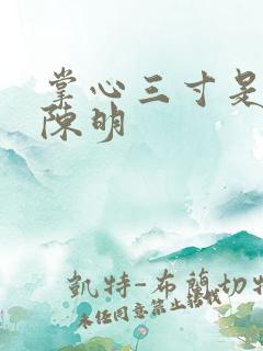 掌心三寸是人间陈明