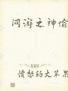 网游之神偷