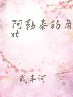 阿勒泰的角落txt