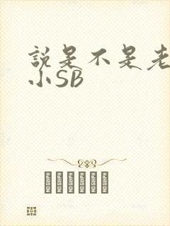 说是不是老公的小SB