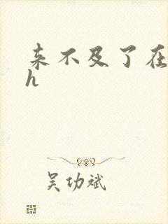 来不及了在车ch