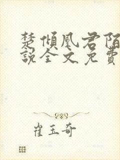 楚倾凰君陌尘小说全文免费阅读