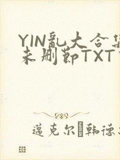 YIN乱大合集未删节TXT下载