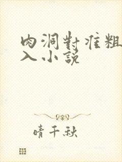 肉洞对准粗大坐入小说