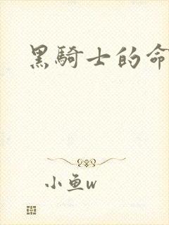 黑骑士的命令