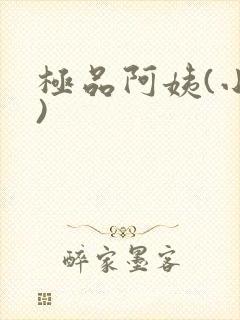 极品阿姨(小说)