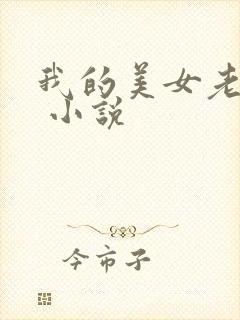 我的美女老婆们 小说