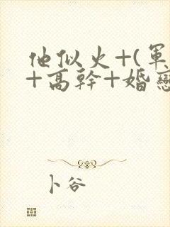 他似火+(军婚+高干+婚恋)