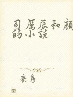 司厉辰和颜辞兮的小说