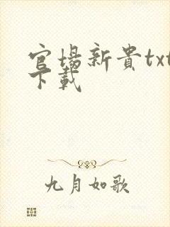 官场新贵txt下载