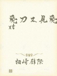 飞刀又见飞刀txt