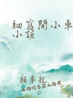 细写开小车车的小说