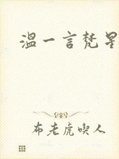 温一言梵星小说