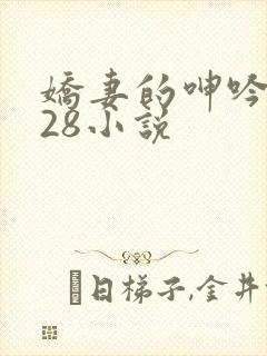 娇妻的呻吟1—28小说