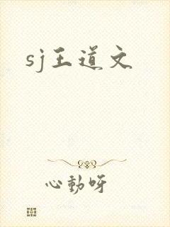 sj王道文