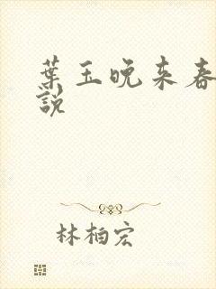 叶玉晚来春 小说