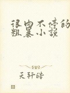 很肉不停的做很粗暴小说