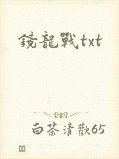 镜龙战txt
