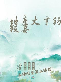 地产大亨的豪门叛妻