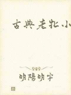 古典老牝小说