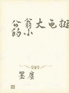 公翁大龟挺进我的小