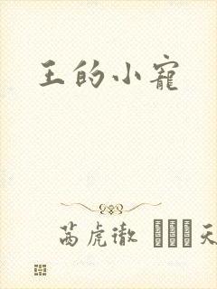 王的小宠