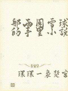 那两团雪球在他的手里小说