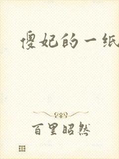 傻妃的一纸休书