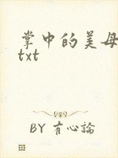 掌中的美母版主txt