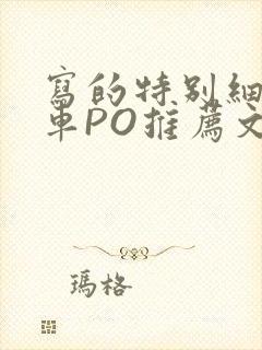 写的特别细的开车PO推荐文多人