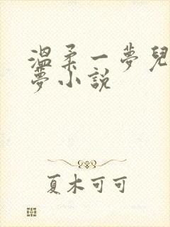 温柔一梦儿媳林梦小说
