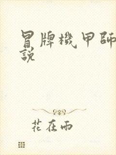 冒牌机甲师 小说