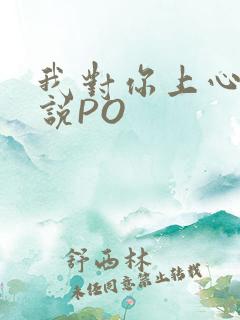 我对你上心了小说PO
